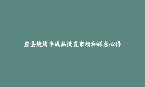 应县烧烤半成品批发市场和踩点心得