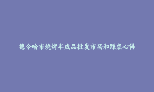 德令哈市烧烤半成品批发市场和踩点心得