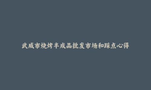 武威市烧烤半成品批发市场和踩点心得