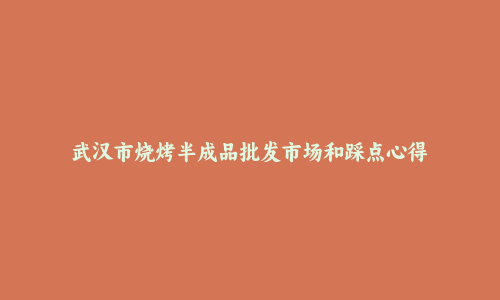 武汉市烧烤半成品批发市场和踩点心得