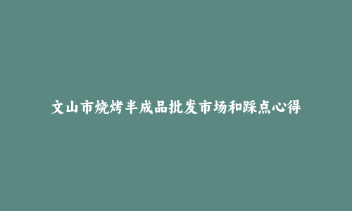 文山市烧烤半成品批发市场和踩点心得