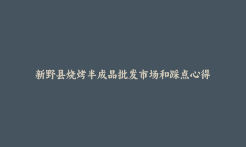 新野县烧烤半成品批发市场和踩点心得
