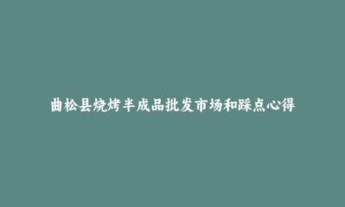 曲松县烧烤半成品批发市场和踩点心得