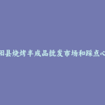 朝阳县烧烤半成品批发市场和踩点心得