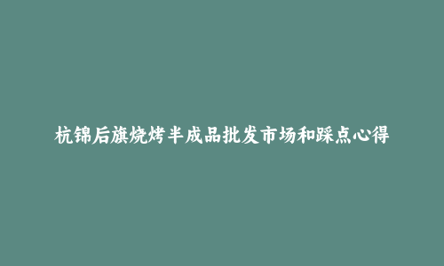 杭锦后旗烧烤半成品批发市场和踩点心得