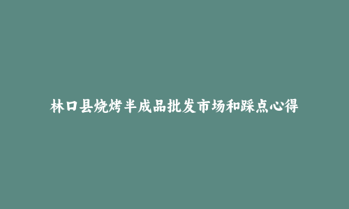 林口县烧烤半成品批发市场和踩点心得