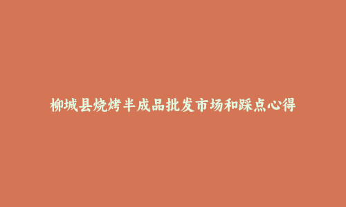 柳城县烧烤半成品批发市场和踩点心得