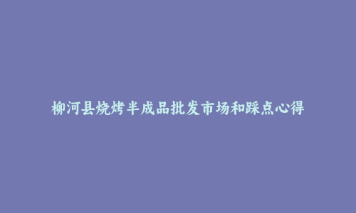 柳河县烧烤半成品批发市场和踩点心得