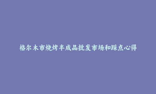 格尔木市烧烤半成品批发市场和踩点心得