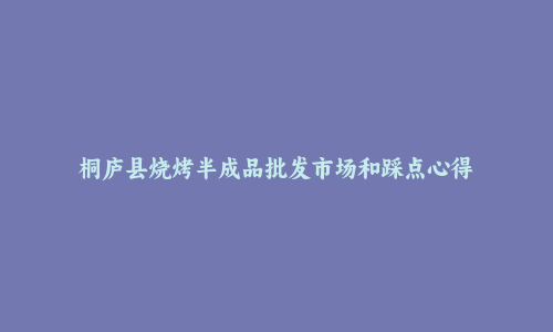 桐庐县烧烤半成品批发市场和踩点心得