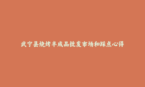 武宁县烧烤半成品批发市场和踩点心得