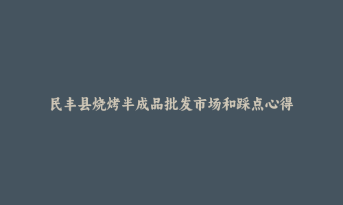 民丰县烧烤半成品批发市场和踩点心得