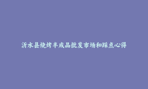 沂水县烧烤半成品批发市场和踩点心得