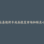 沈丘县烧烤半成品批发市场和踩点心得