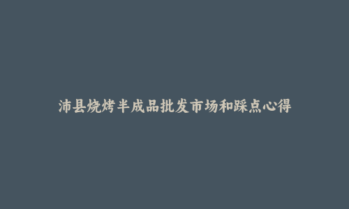 沛县烧烤半成品批发市场和踩点心得