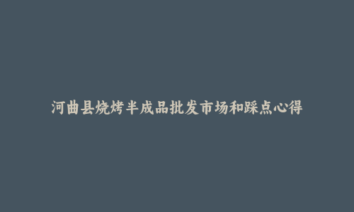 河曲县烧烤半成品批发市场和踩点心得