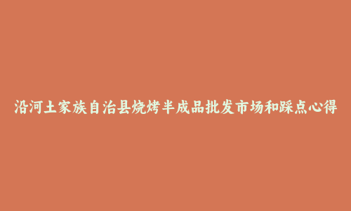 沿河土家族自治县烧烤半成品批发市场和踩点心得