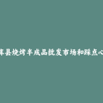法库县烧烤半成品批发市场和踩点心得