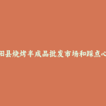 泾阳县烧烤半成品批发市场和踩点心得