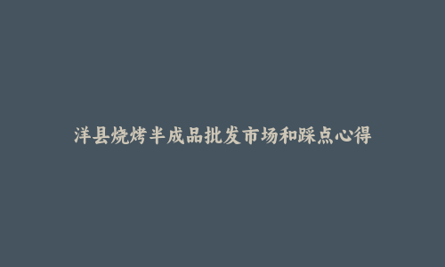 洋县烧烤半成品批发市场和踩点心得