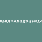 涡阳县烧烤半成品批发市场和踩点心得