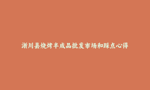 淅川县烧烤半成品批发市场和踩点心得