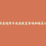深泽县烧烤半成品批发市场和踩点心得