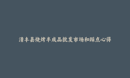 清丰县烧烤半成品批发市场和踩点心得