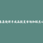 温泉县烧烤半成品批发市场和踩点心得