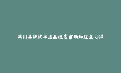 潢川县烧烤半成品批发市场和踩点心得