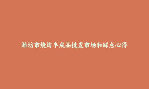 潍坊市烧烤半成品批发市场和踩点心得