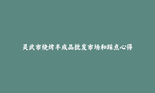 灵武市烧烤半成品批发市场和踩点心得