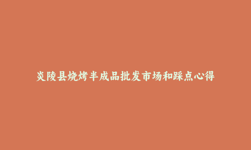 炎陵县烧烤半成品批发市场和踩点心得