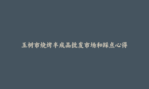 玉树市烧烤半成品批发市场和踩点心得