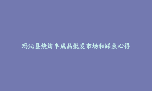 玛沁县烧烤半成品批发市场和踩点心得