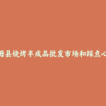 理塘县烧烤半成品批发市场和踩点心得