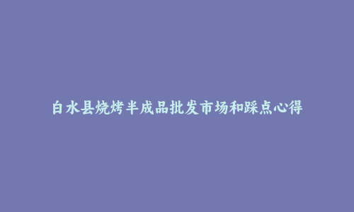 白水县烧烤半成品批发市场和踩点心得