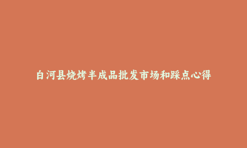 白河县烧烤半成品批发市场和踩点心得