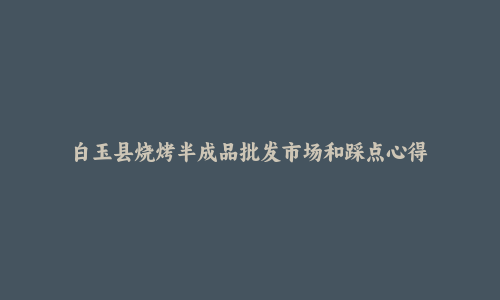 白玉县烧烤半成品批发市场和踩点心得
