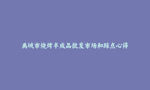 禹城市烧烤半成品批发市场和踩点心得