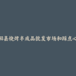 紫阳县烧烤半成品批发市场和踩点心得