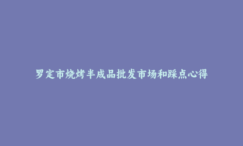 罗定市烧烤半成品批发市场和踩点心得