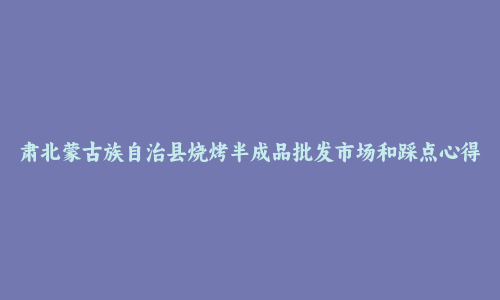 肃北蒙古族自治县烧烤半成品批发市场和踩点心得