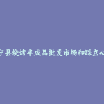 肃宁县烧烤半成品批发市场和踩点心得
