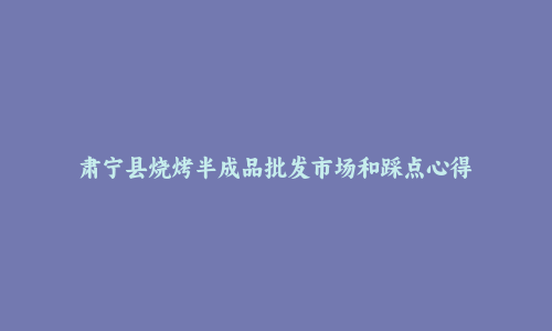 肃宁县烧烤半成品批发市场和踩点心得