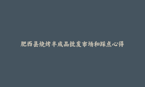 肥西县烧烤半成品批发市场和踩点心得