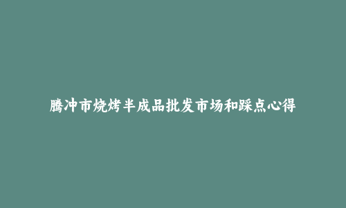 腾冲市烧烤半成品批发市场和踩点心得