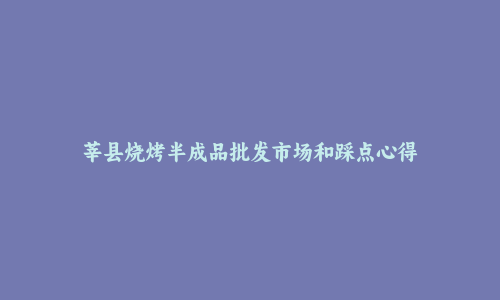 莘县烧烤半成品批发市场和踩点心得