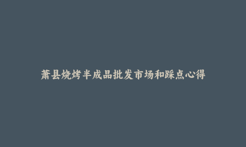 萧县烧烤半成品批发市场和踩点心得