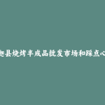 萨迦县烧烤半成品批发市场和踩点心得